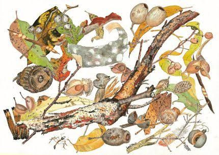 GlobalEurope's tweet photo. It's the time of year for #leavetheleaves!
Sustain birds and pollinators, insulate roots, build the soil and more. Skip the rake, quiet the blower, and #leafcycle.
#Leaves #Autumn #biodiversity https://t.co/PYcnVIWHNn