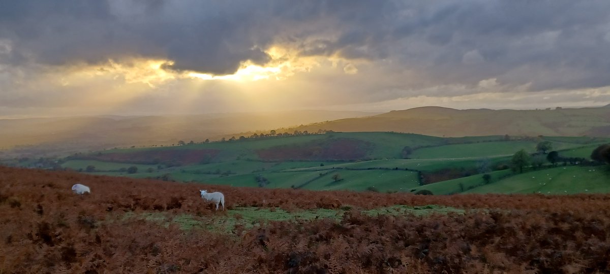 Great #Autumn #sunset on the #LongMynd  last night we love #shropshire