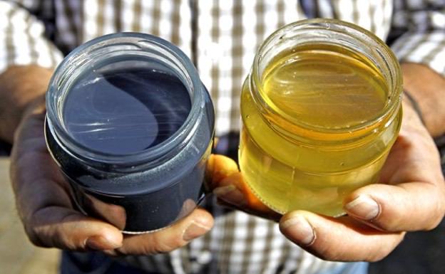 El día que la miel se tornó azul… 

Por allá del 2012 en Alsacia, Francia los apicultores no entendían porque las abejas estaban produciendo miel verde y azul, y resulta que las abejas se estaban alimentando de los desechos de una fabricas de M&amp;M’s
