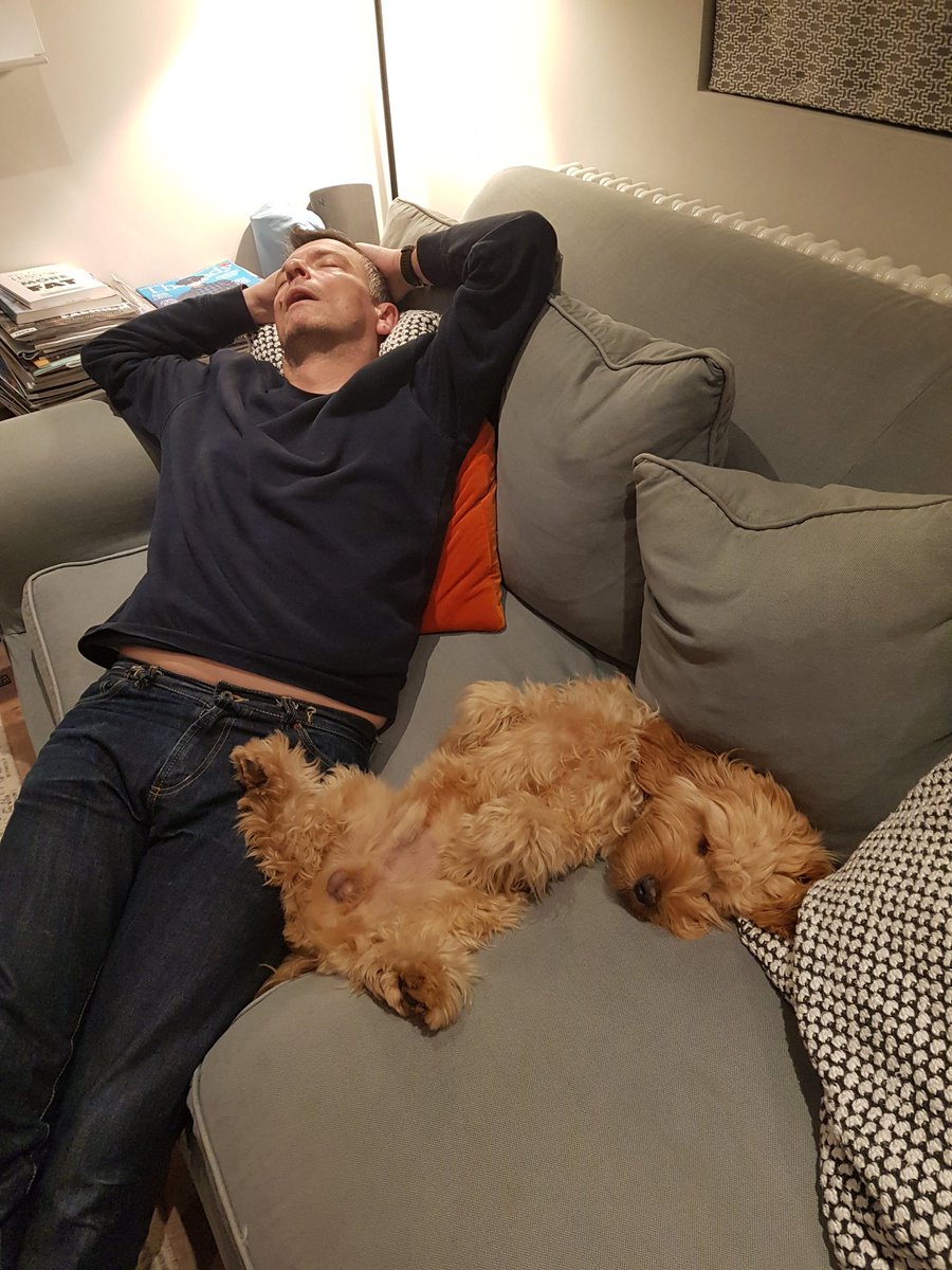 samellis5's tweet image. So @ClassicFM #PetClassics has done it's job for Bonfire night