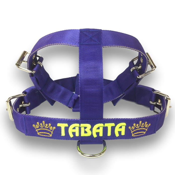 EvilCollar's tweet photo. EvilCollar - Pettorina Personalizzata 4cm
Shop now π https://t.co/ztdsTPn5QZ
#collari #collaripersonalizzati
#customcollars #collari #collaripersonalizzati #dogs #dogslife #staffy #staffylovers #pitbull #evilcollar #dog #americanbully #doggo #dogcollars https://t.co/zIGSp6dQJ4