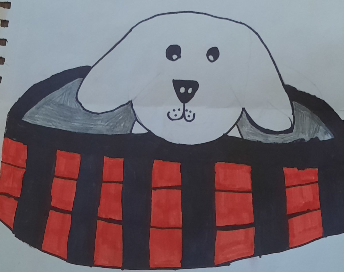 Two girls  on my street drew my dog  and other people's pets  to make some cash. I think  they did a great job ! #socute