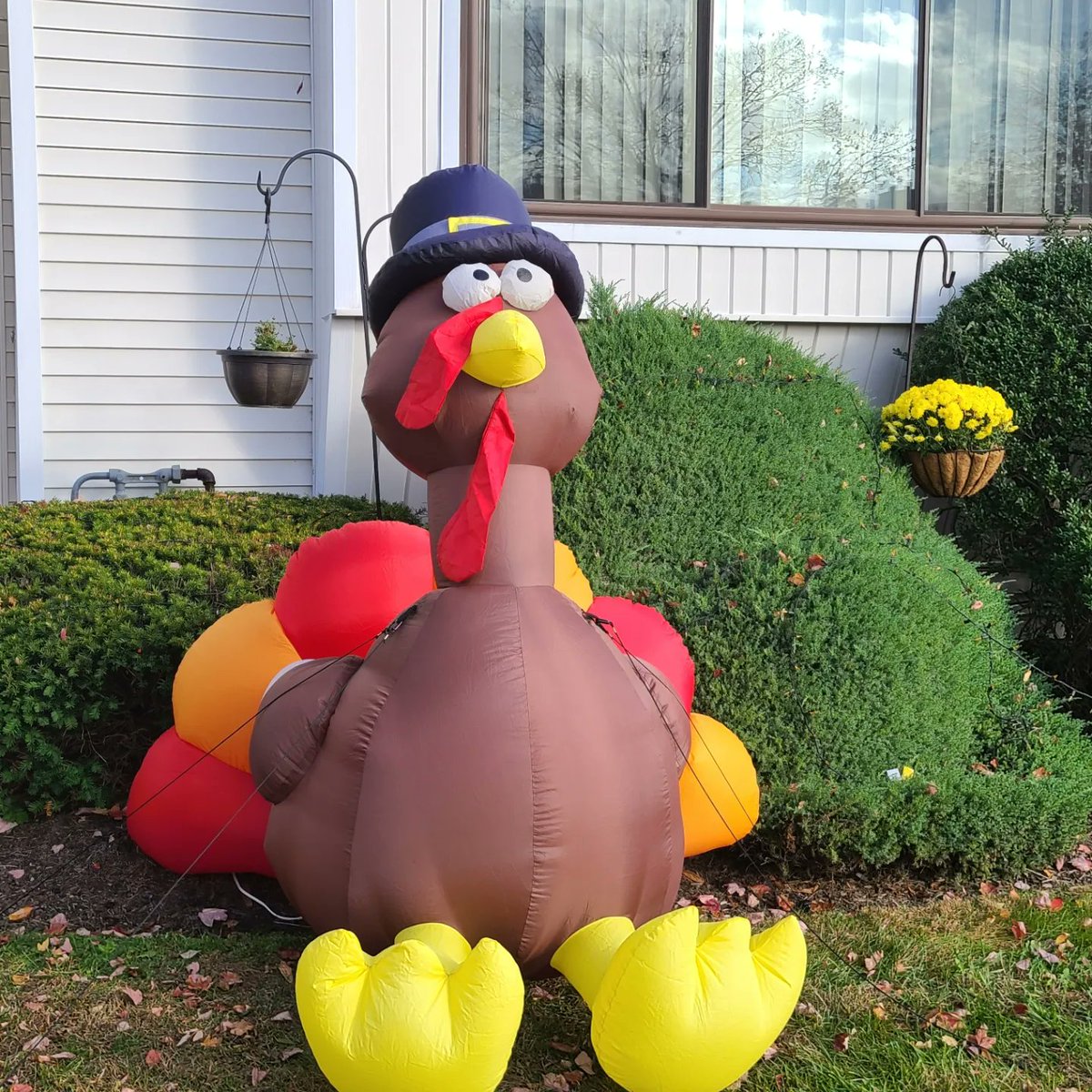 brian_bonafitz's tweet photo. A beautiful #Saturday in early November means it's time to break out the Turkey, which includes the annual "Turkey Selfie"! Hope you're all enjoying the day! #SaturdayFitz #Weekend #FitzManor #InflatableTurkey #FitzGirlsRule #DadLife #MiddletownNJ #November5th #FallFitz https://t.co/4hBX6eHWsR