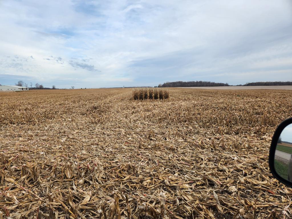 Finally found the last 8 rows of #harvest2022 what a great year.  Great weather, great yeilds with no rain. Deffinatley nice surprise in the end.