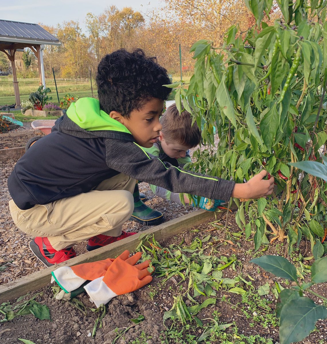 HamiltonPrincipal tweet media