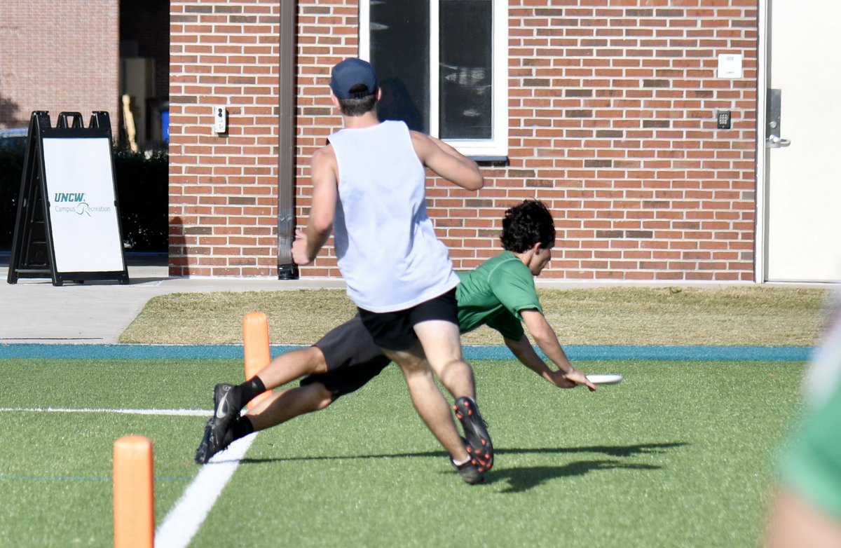 Fausto Ibarra tweet media