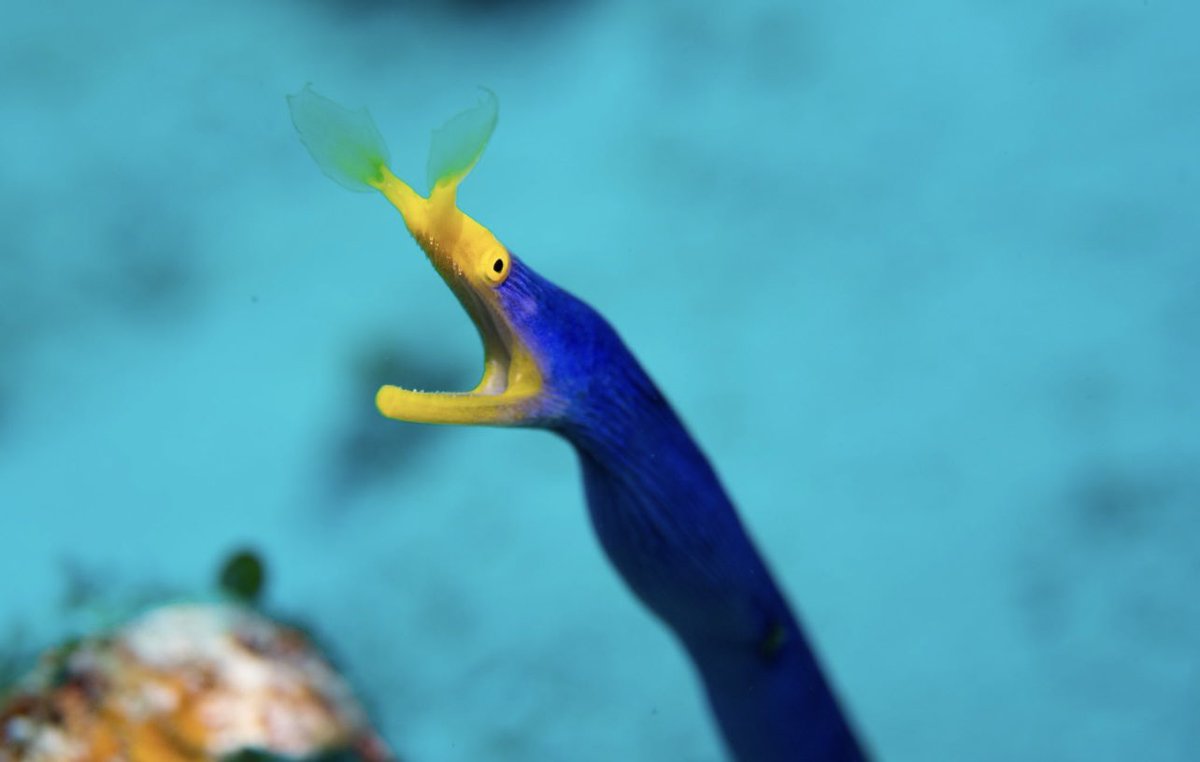 This is me realizing I’ll be done with school soon and have to enter the job market for the first time at 28…