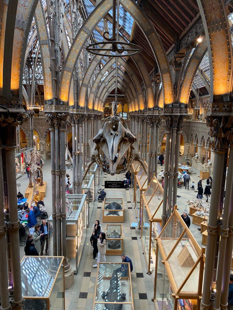 Best museum in the world! <a href="/Pitt_Rivers/">Pitt Rivers Museum</a>