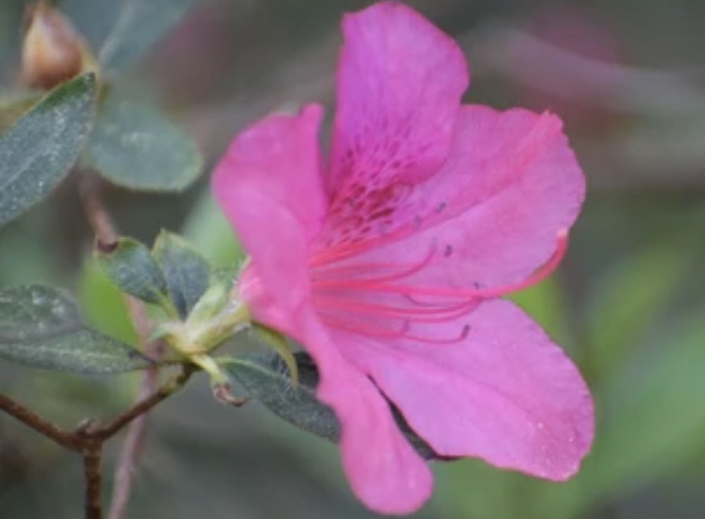 Sometimes we need a wide angle view and sometimes we need a close up. The key is being flexible and knowing when to adjust our lens!  #bettertogether