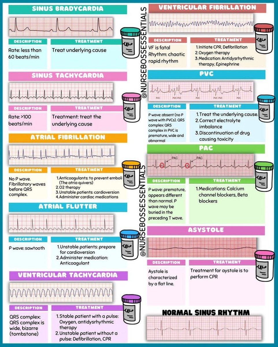 ee-ei-i-on-twitter-cardio-note