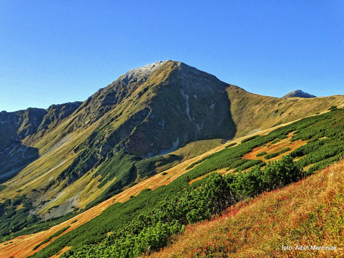 KP_Srodziemie's tweet photo. Tegoroczna jesień jest bardzo łaskawa :-) Tatry mają swój urok;. Szlaki na jesienne wędrówki
 https://t.co/i9s4BPe5Ck
.
#Europapark #Europa #visitWorld #BestWorld #TopWorld #fotografia #VisitEurope #Foto #photography #photo #PHOTOS #landscapephotography  #Tatry #góry #mountain https://t.co/4uGPOOarIJ