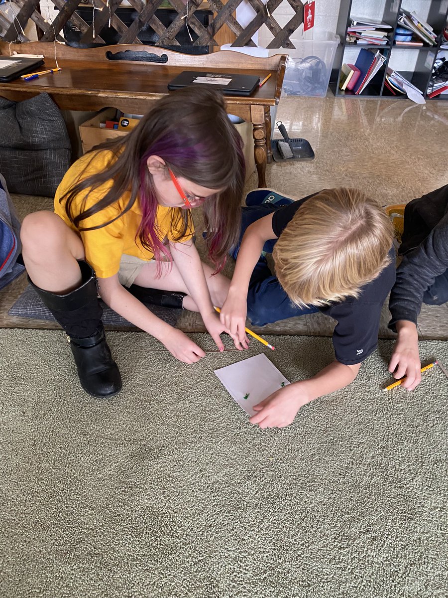 ms. ryan tweet media