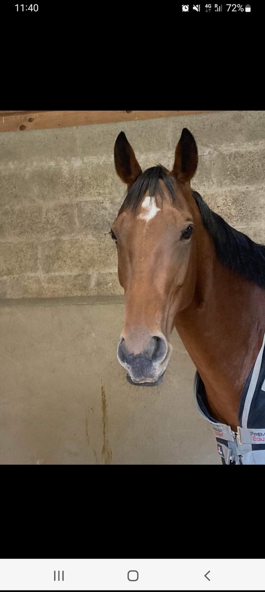 What a STAR MO CELITA has been hope she has beautiful babies just like her <a href="/Trotternicholls/">Adrian Nicholls</a>