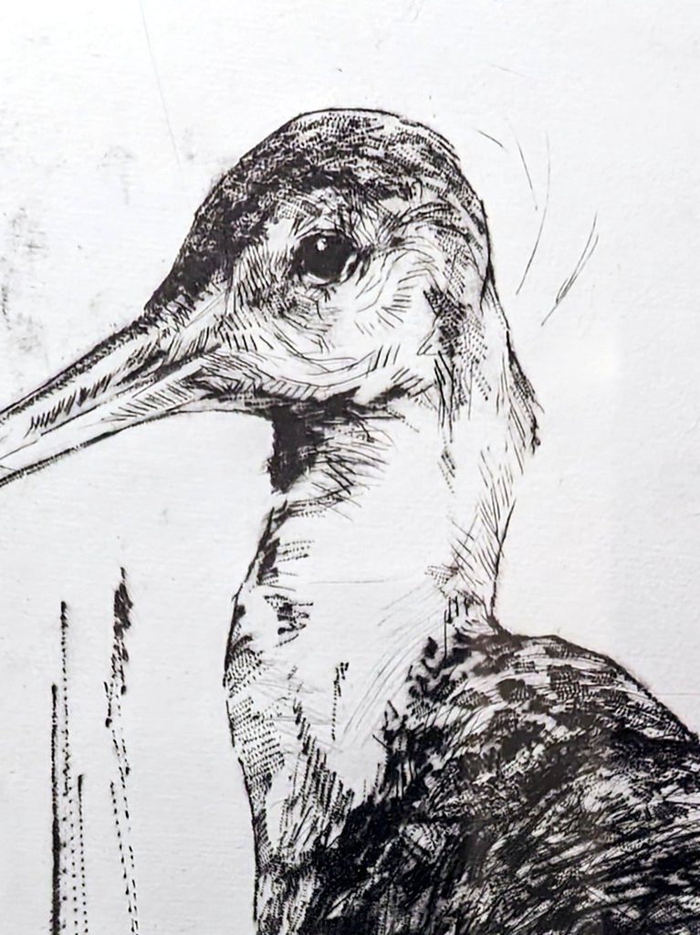 I saw Emerson Mayes' work at @Art_Watermark's Nest exhibition earlier this year, and immediately fell in love. Very pleased to give this 'Elegant Godwit' dry point print wall space! @e_mpainter @swlanaturaleye