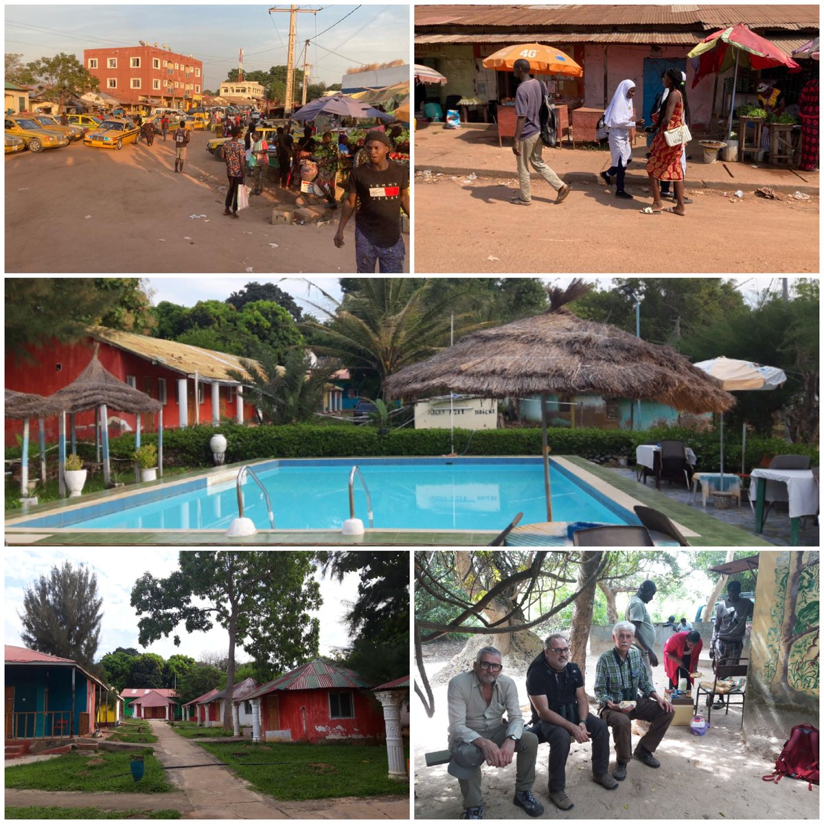 Wenda de Koning tweet media