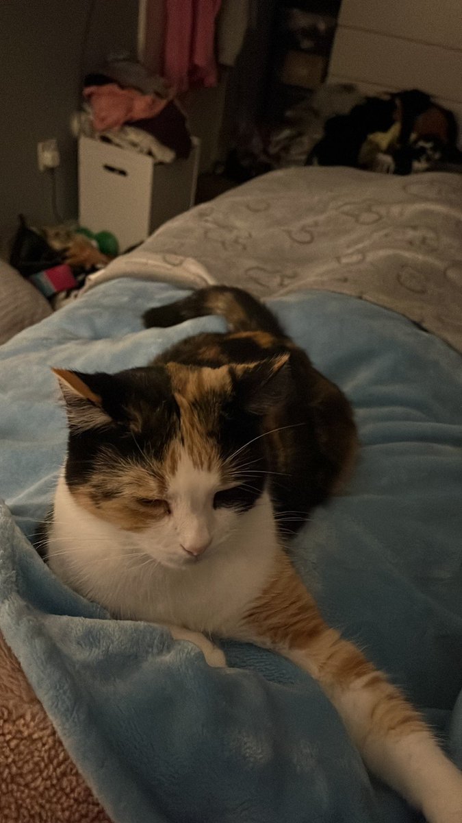 matt king tweet media