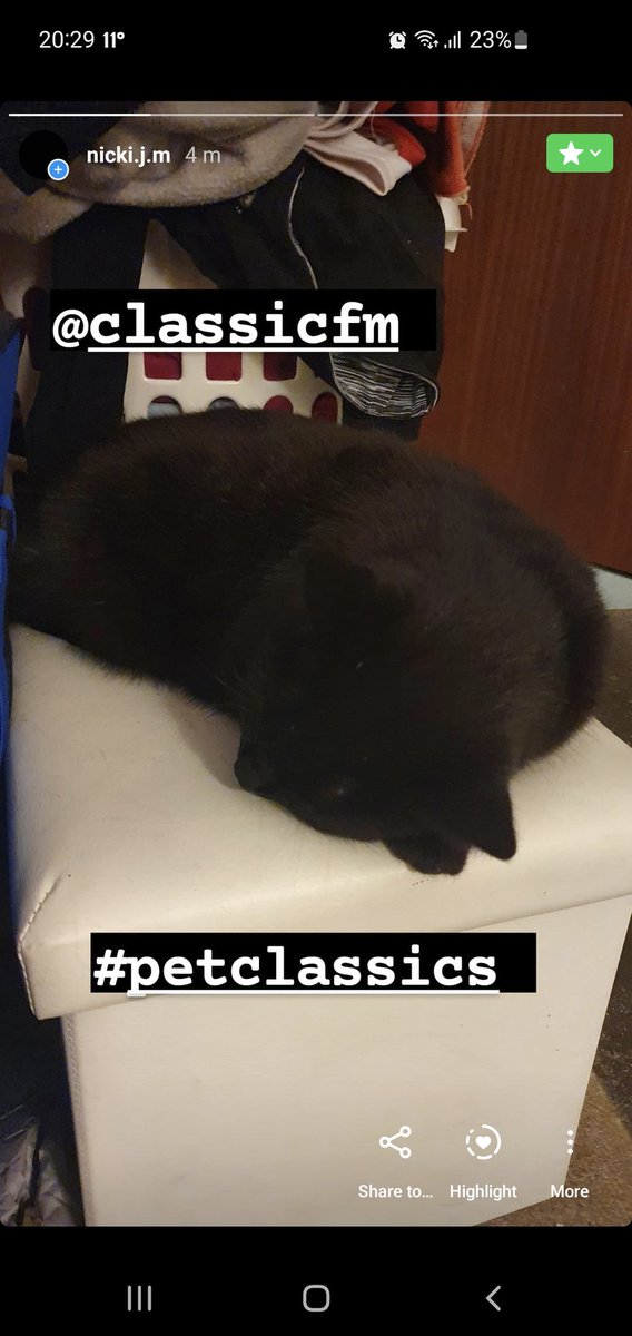 Nickijs78's tweet photo. @ClassicFM You are simply amazing. Thank you for helping our pets relax. My cats say it is just Purrr-fect #PetClassics https://t.co/VVcvbcLbVS