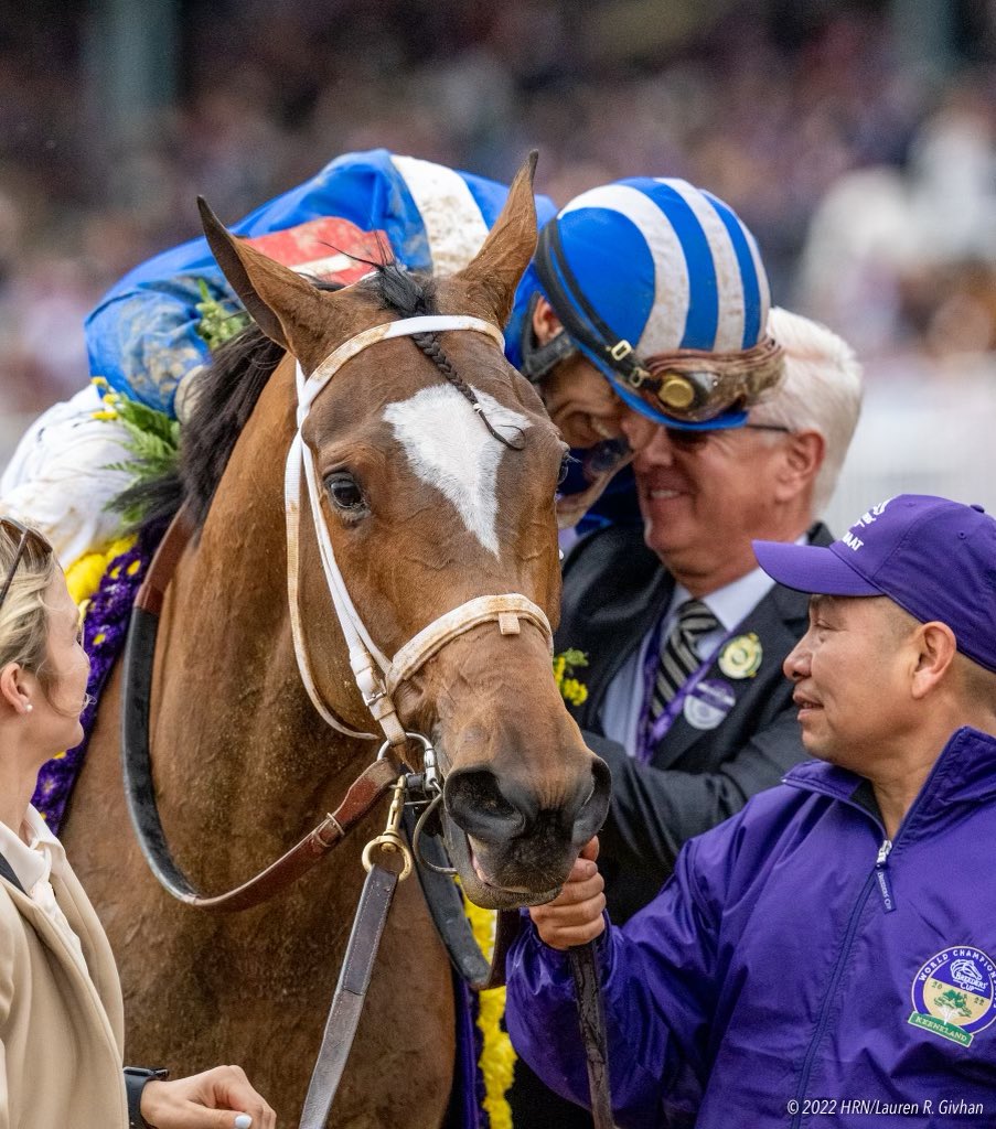 HR_Nation's tweet image. What a moment for @ShadwellStud’s Malathaat, jockey @ljlmvel, and trainer @PletcherRacing after winning the @BreedersCup Distaff by a nose over @ejxd2’s top pick Blue Stripe.