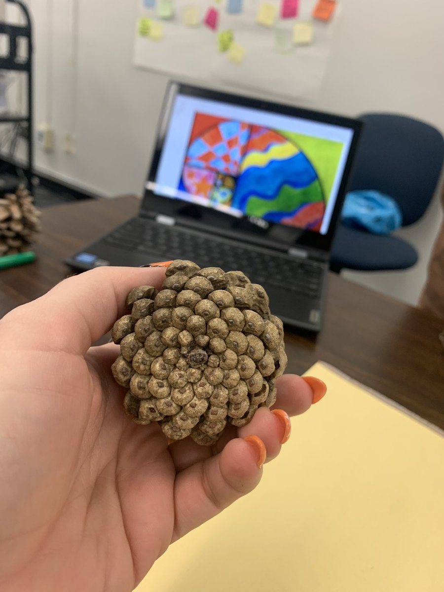 Participating in <a href="/hanclarke_ocdsb/">Hannah Clarke, She/Her</a> ’s amazing ‘Patterns in Nature’ activity station during our Math Part 1 AQ! @chevymath <a href="/SGottmath/">Sarah Groskleg</a> @CarletonHeights <a href="/OCDSB/">OCDSB</a>