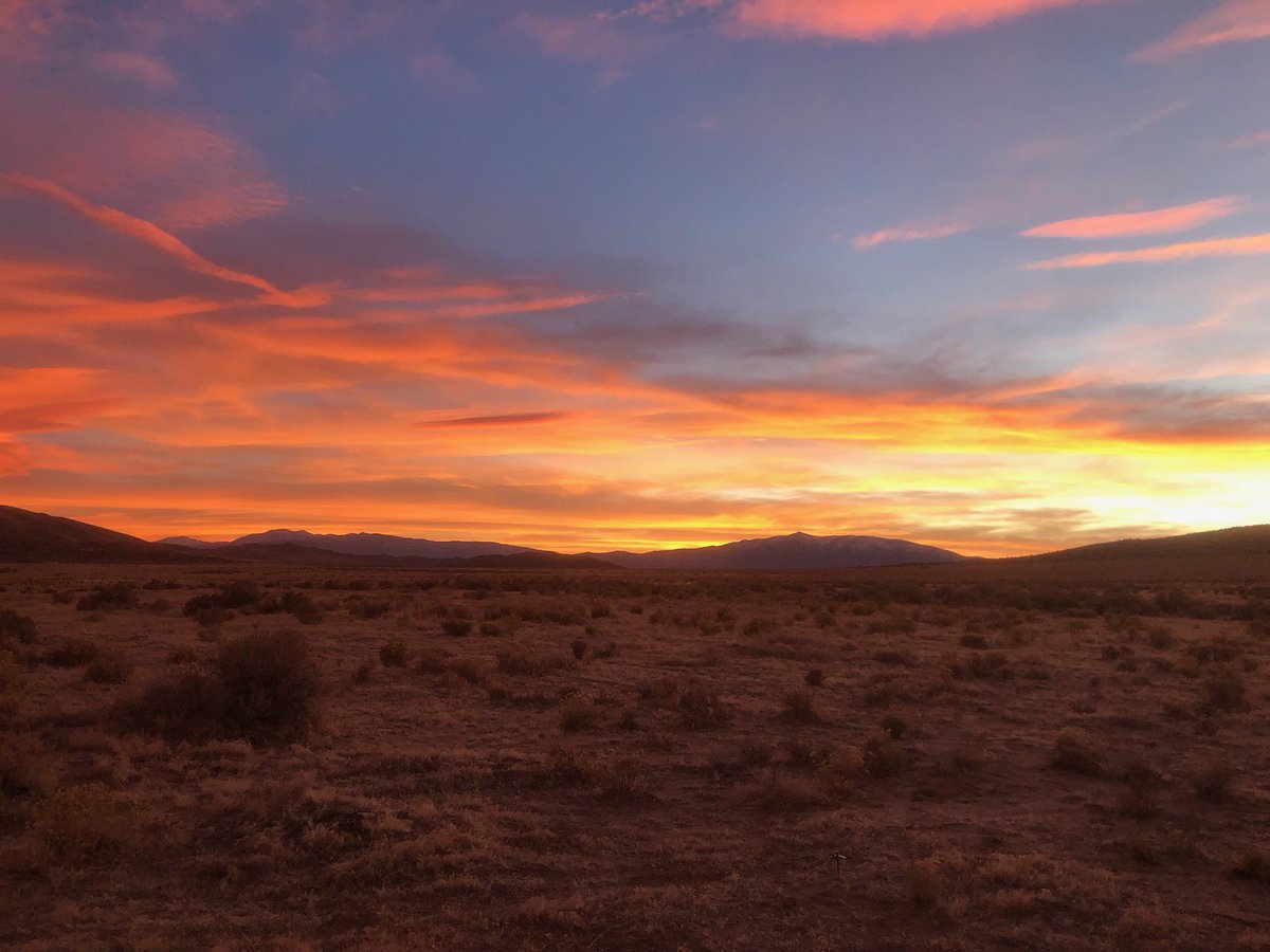 bunterspring's tweet photo. Last stop: Hungry Valley NV. After this, @bunterspring winery (and Sallie 🐶, Opie🦮, and Doobie 🐕‍🦺) head home to our own valley and a hot meal (and a glass of 🍷) https://t.co/mxzslS8bWr
