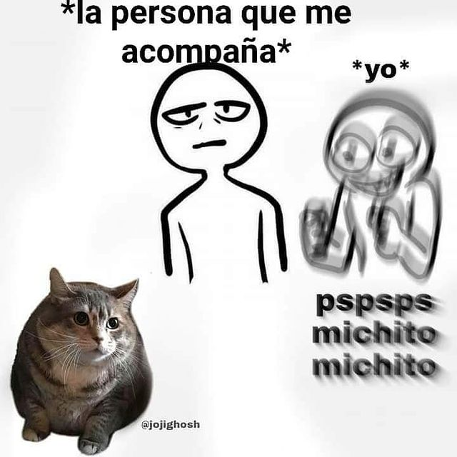 GatitoJoseos's tweet photo. sí soy https://t.co/J0K681zNPG