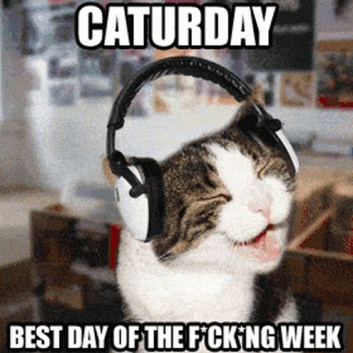 Happy Caturday World!