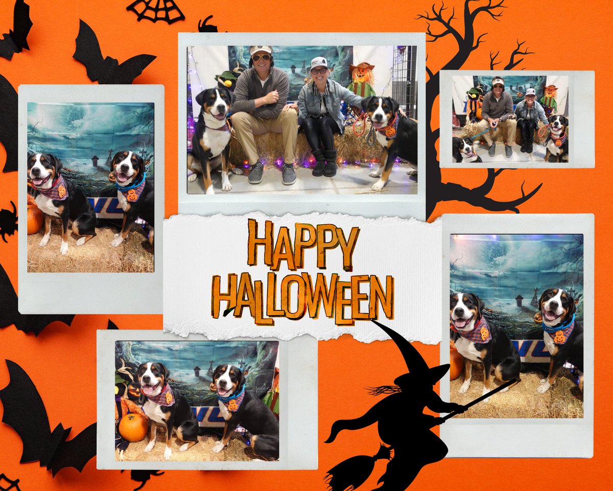 Positive Pets Dog Training First Annual Halloween Pawty was a success! We had so much fun creating an event that was fun for both humans and pups alike! Please look forward to more spooks and scares next year! All photos will be on our Facebook page to download!🐶🐾