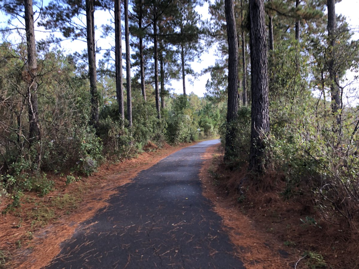 jkpendarvis's tweet photo. Got 8 miles in this morning. Mostly walking but some stretches of running.

#run #running #runchat https://t.co/Ky4WhLGuGc