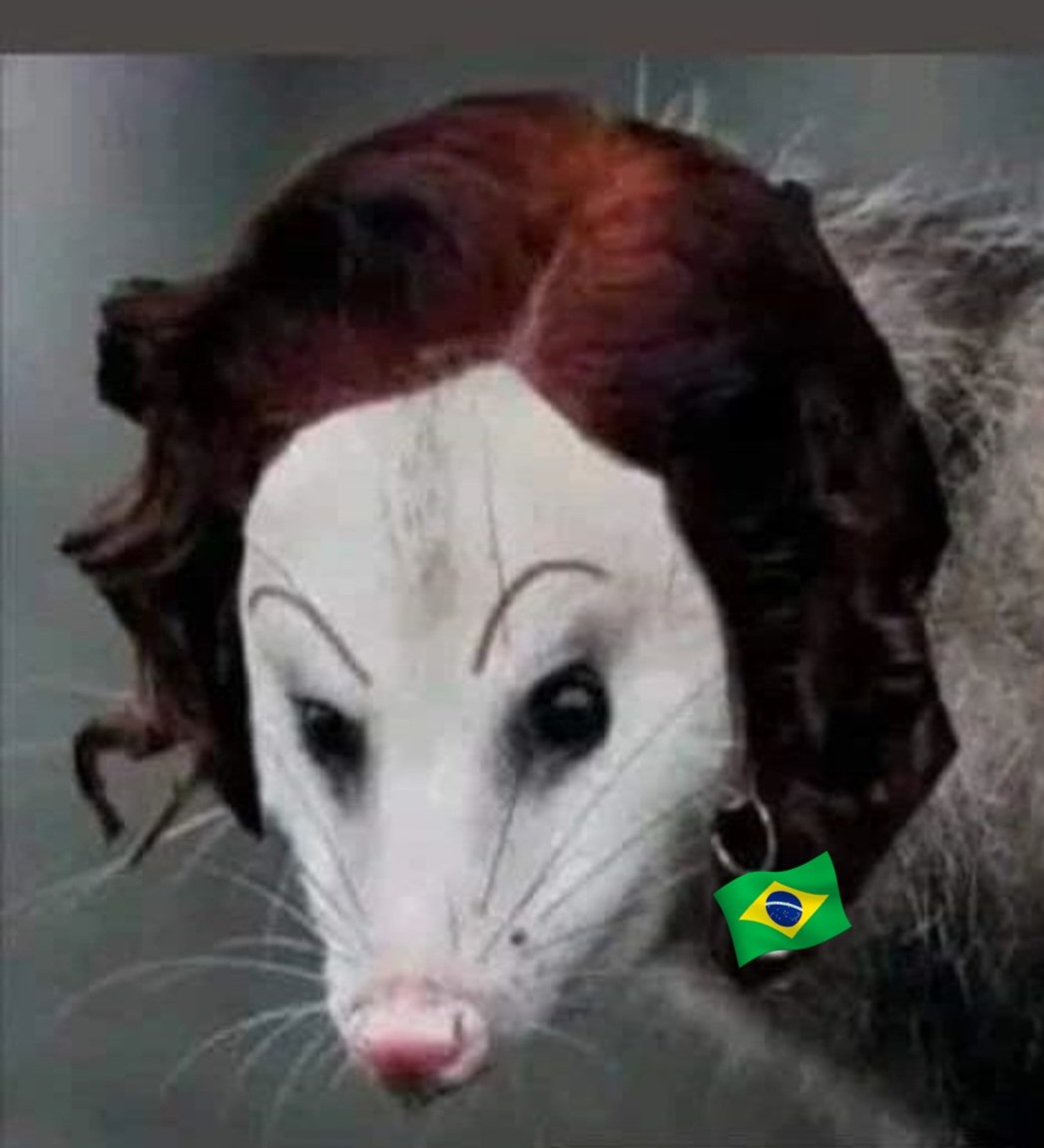 Leorootsoficial's tweet photo. #ObrigadoCarlaInfiltrada https://t.co/7BkqW67nqE