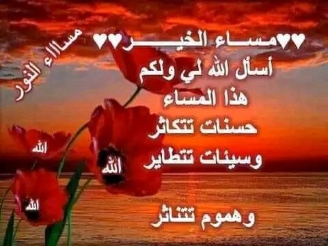 الخنساء tweet media