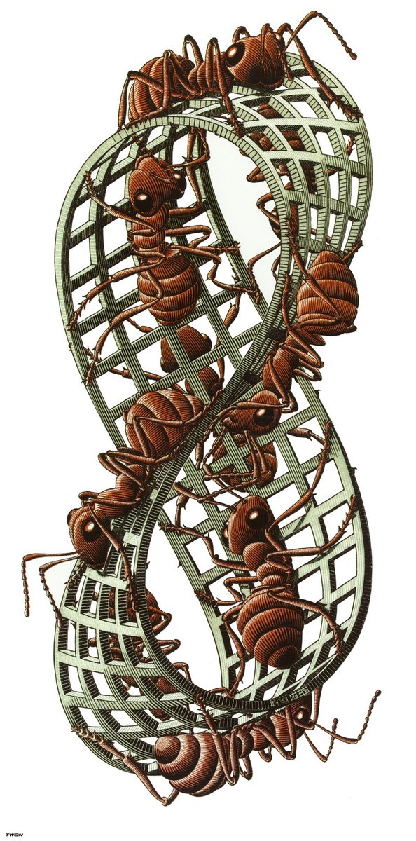 artistescher's tweet photo. Moebius Strip II, 1964 #surrealism #mcescher https://t.co/OKHysh9AUR https://t.co/rg36AoeMhr