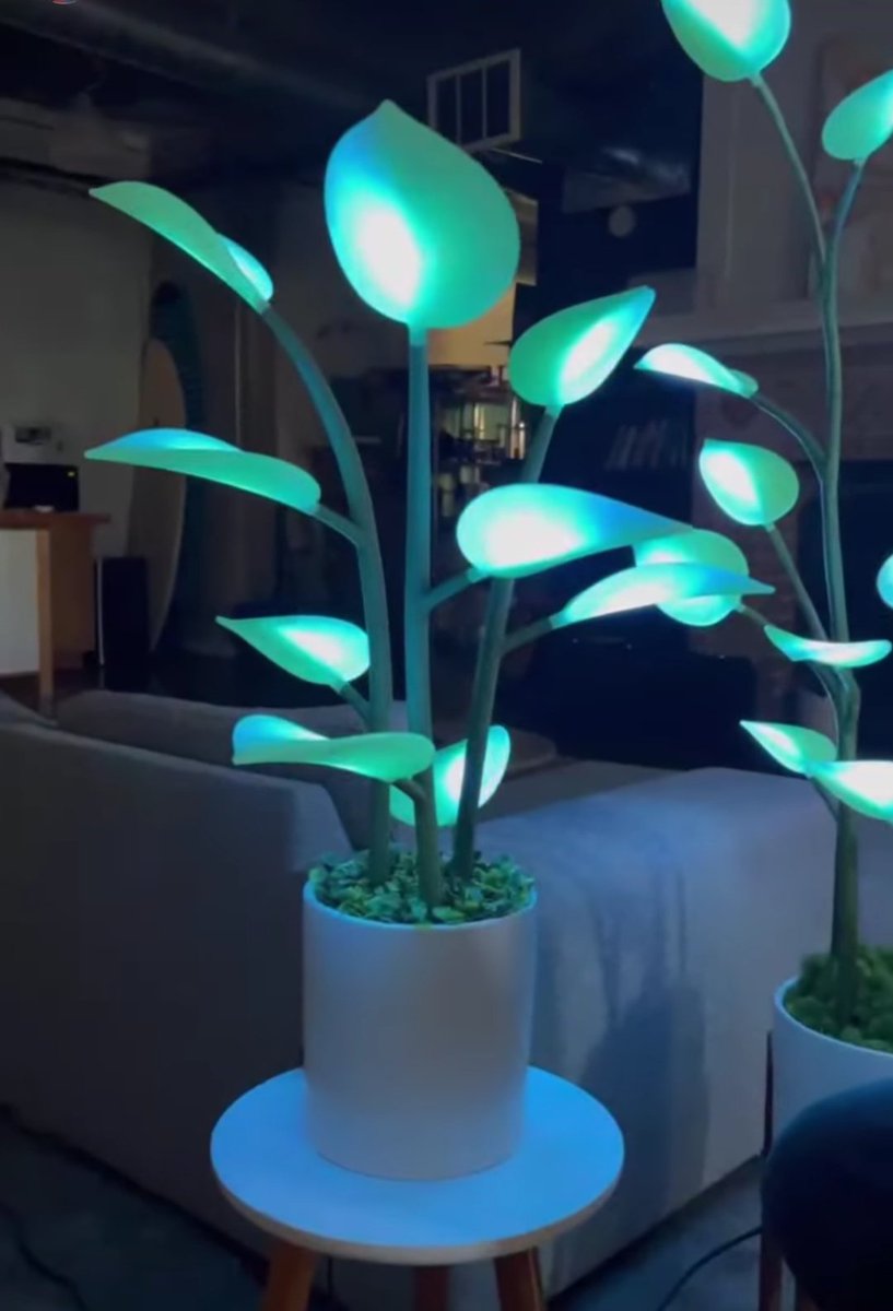 Houseplant Hobbyist on Twitter "Color changing LED plant light! 🌿"