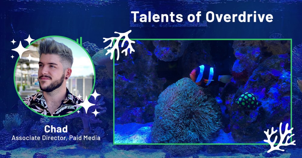 Waiting for our invite to see Chad’s incredible saltwater aquariums.

“One aquarium is a genuine reef tank filled with various corals, invertebrates - the other includes a clarkii clownfish, pipefish, starry blenny, hawkfish, maxima clam, and so much more!”

#agencylife