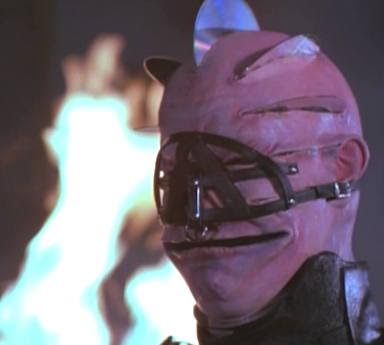 Nick Rocco Scalia tweet media