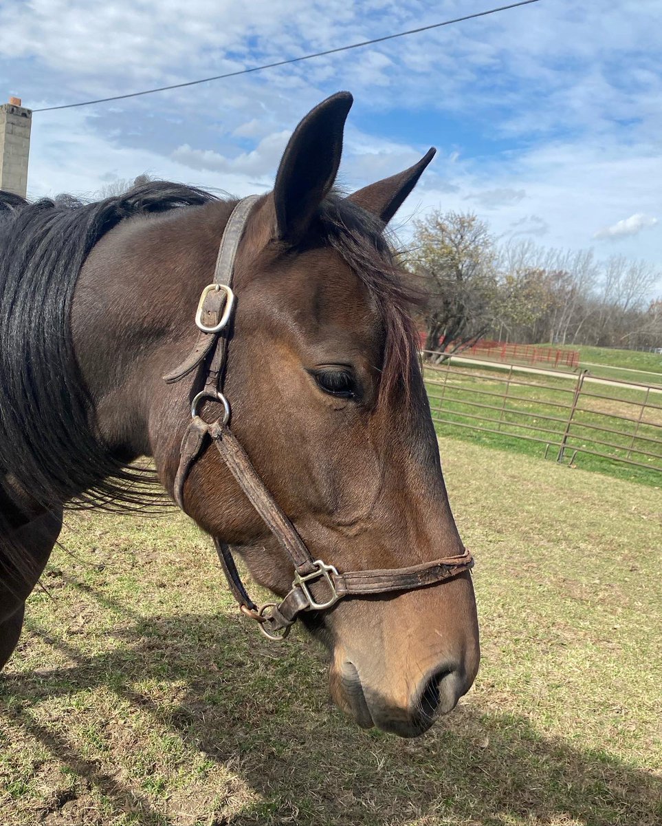 R & E Racing tweet media