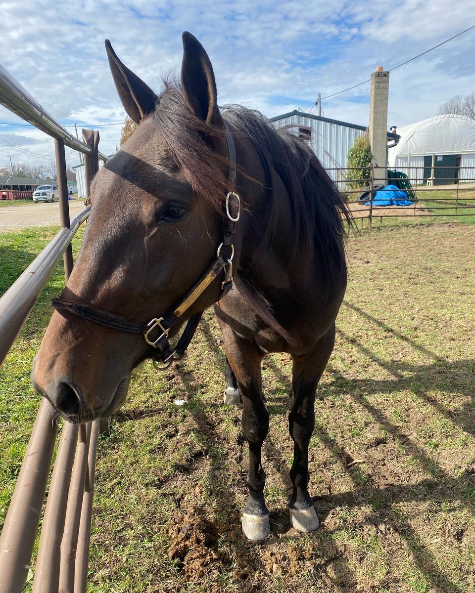 R & E Racing tweet media