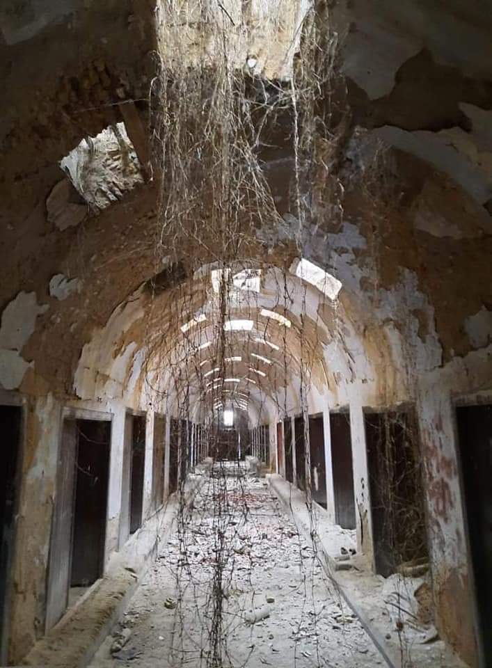 🌿🇹🇳 مجلة تاريخ تُونس 🇹🇳🌿 tweet media