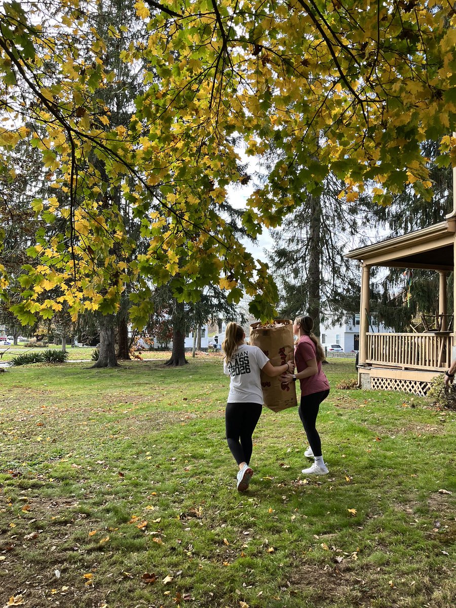 ms_stringfellow's tweet image. Great job today @Feehan_Softball! The girls served their community this morning by raking leaves at the House of Compassion!