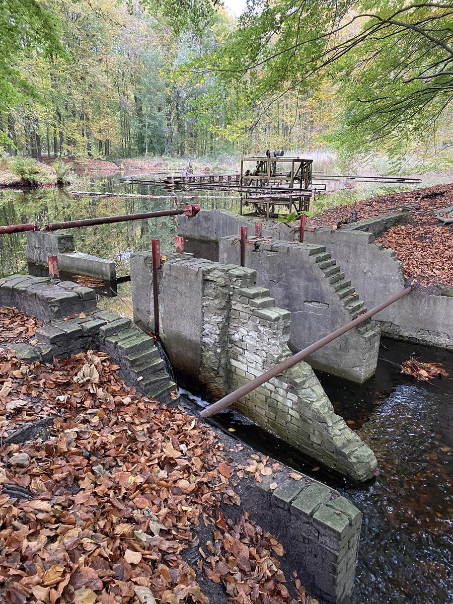 SandervanAlphen's tweet photo. Het Waterloopbos van @Natuurmonument is prachtig in de herfst! Meer dan dertig schaalmodellen van (inter)nationale waterwerken voor de tijd van computermodellen die deels zijn overgenomen door de natuur. https://t.co/elDUoNZZno