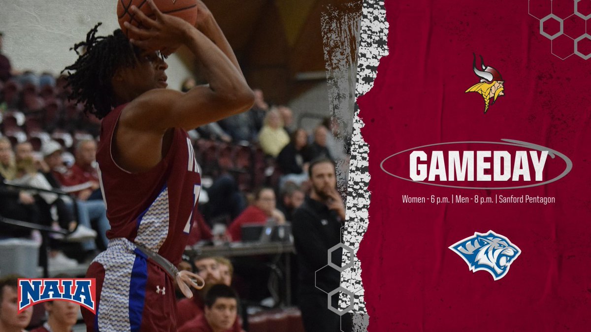 VCSU Vikings tweet media