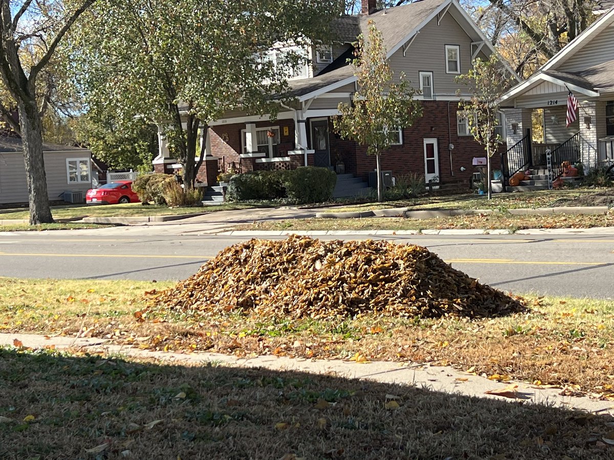 Phil Smith-Hanes tweet media