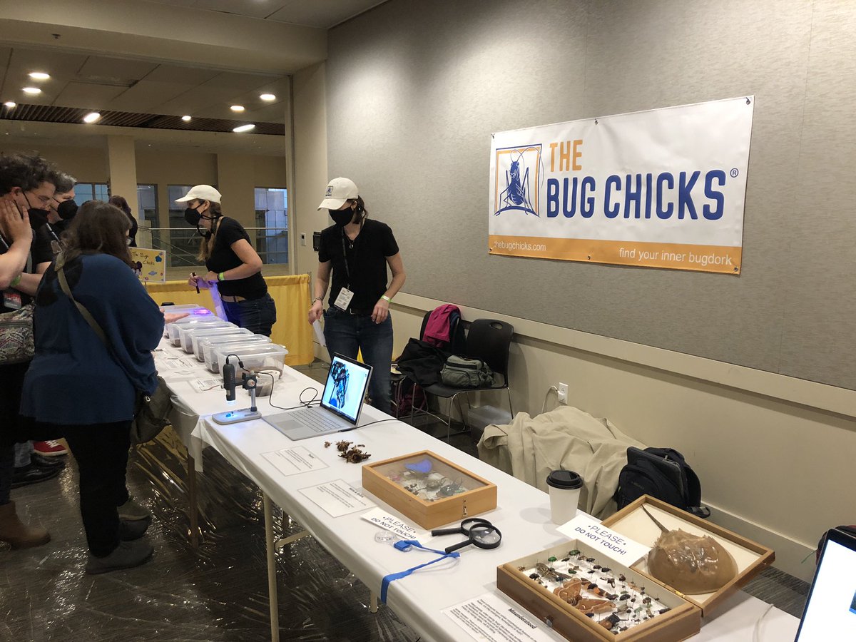 tereshkova2001's tweet photo. Science! The #DIYSciZone is thrilled to be #BackAtGGC22 with bugs, NASA, poetry, and more! https://t.co/nluJdZDiRI