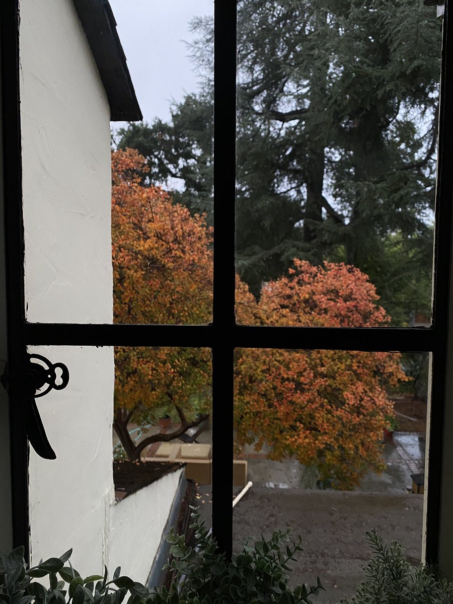 🍂🍂🍂