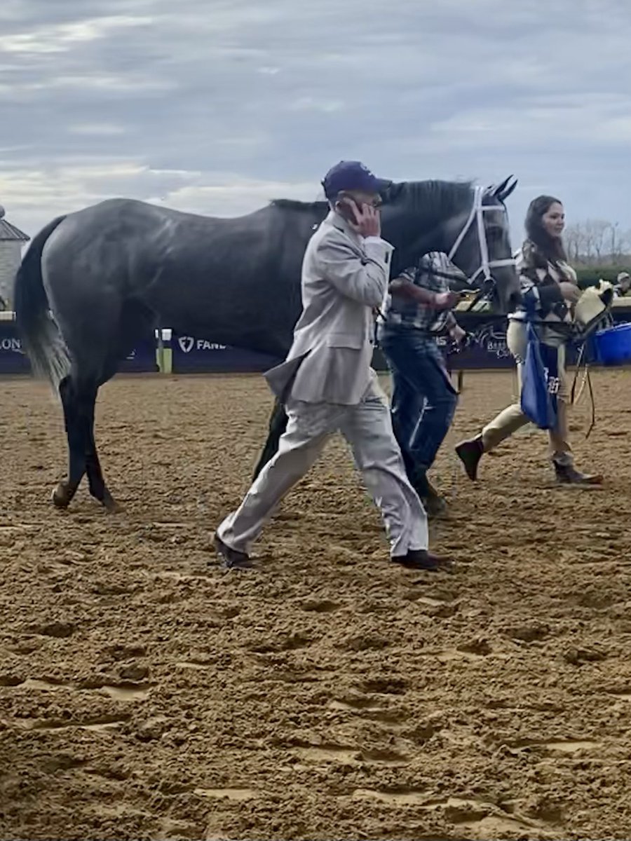 georgiagirl581's tweet photo. PA Bred #10 Caravel( Mizzen Mast) Congrats @LizzieMerryman @bradcoxracing @Tyler_Gaff for winning The @BreedersCup #TurfSprint BRAVO!!! @JorgitoAbrego https://t.co/V4LPaI2uvs