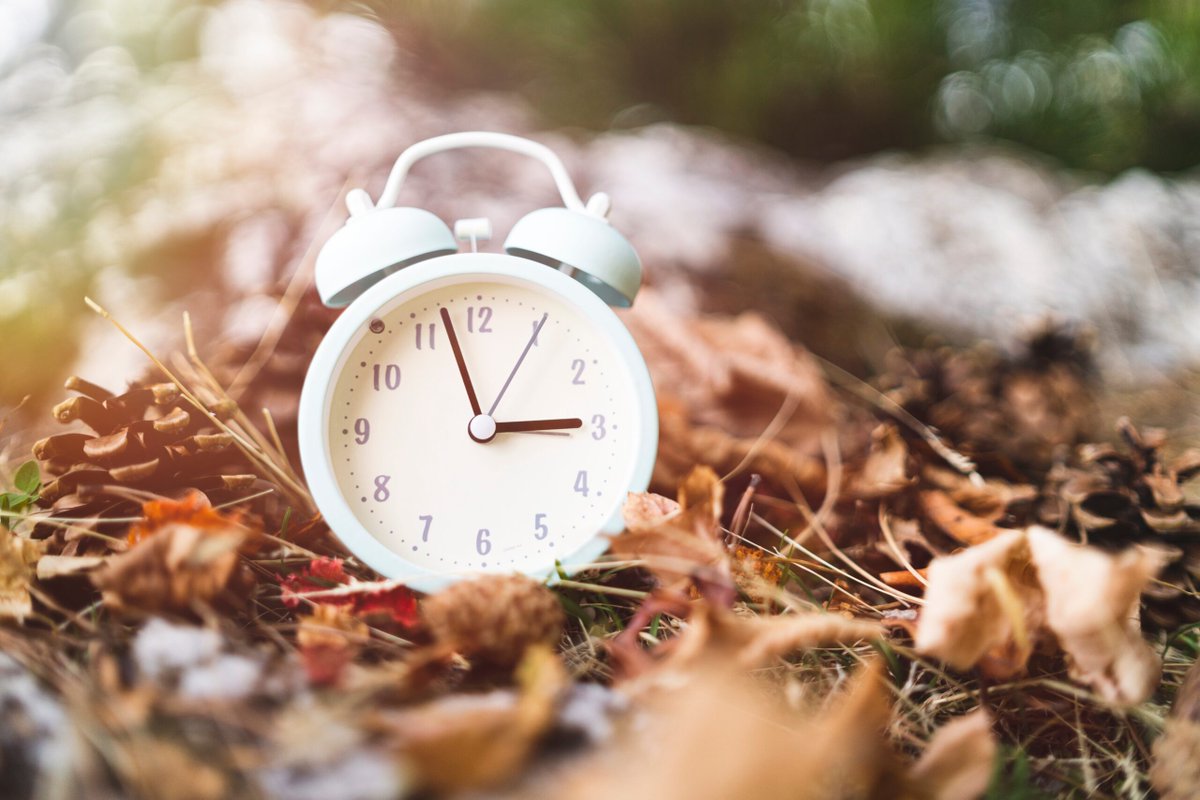 ReimerHVAC's tweet photo. Don’t forget to set your clocks back for an hour tomorrow. It’s time to #FallBack.

#DaylightSavingsEnds #SleepMore https://t.co/27aSpo44G1