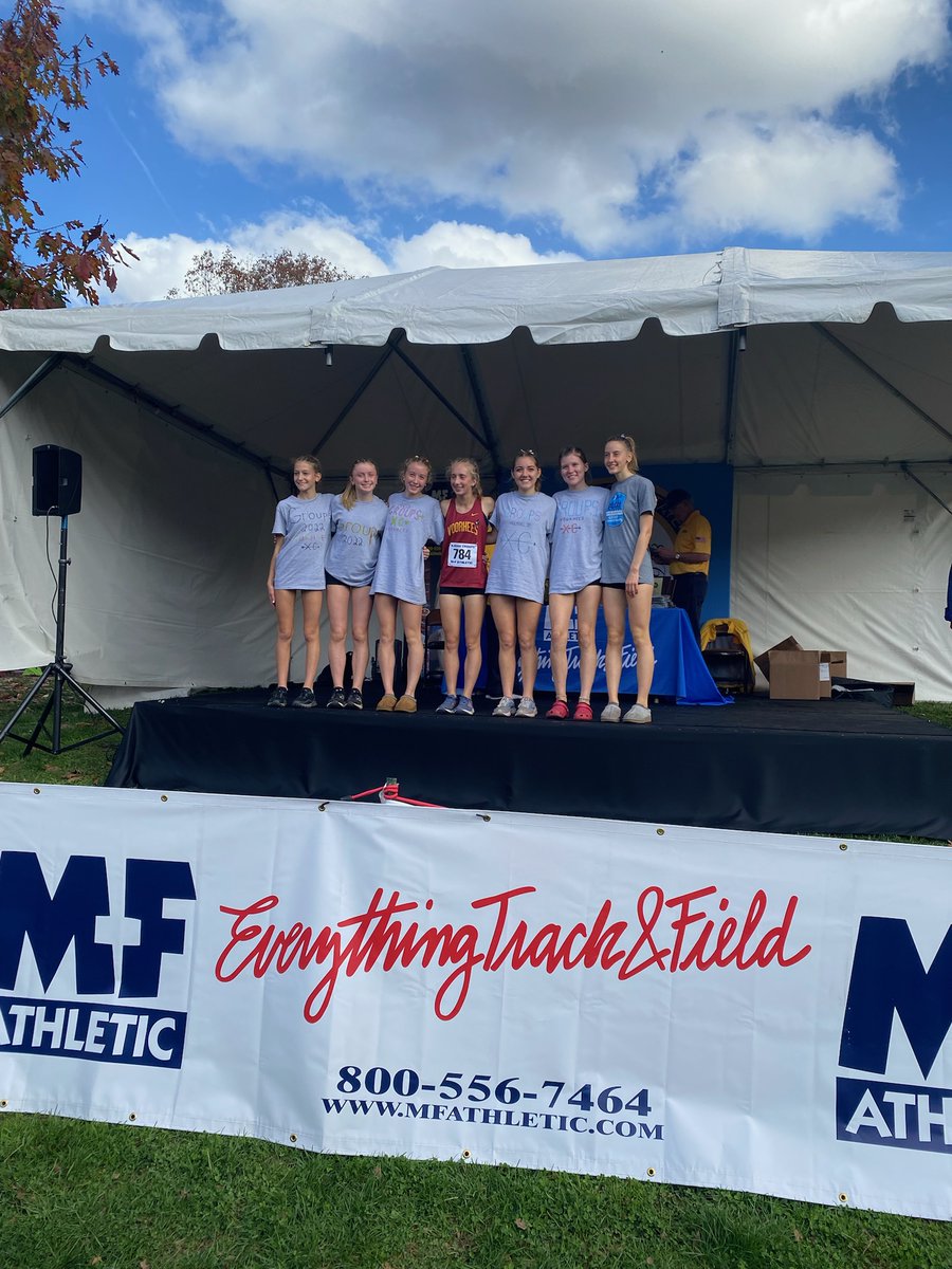 GO VIKES tweet media