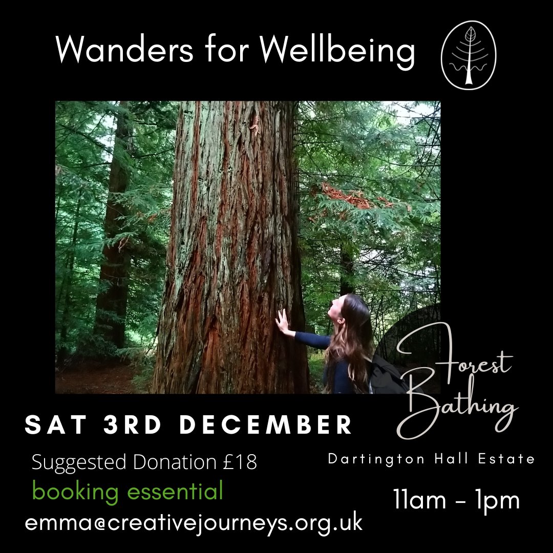 creative journeys tweet media