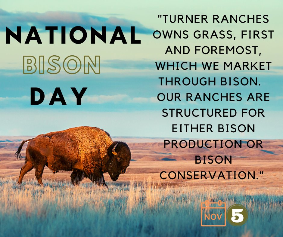 At Team Turner, every day is Bison Day. We produce bison that fit our environment instead of artificially changing the environment to fit what we think our bison should be. turnerbisonexchange.com/ted-turner