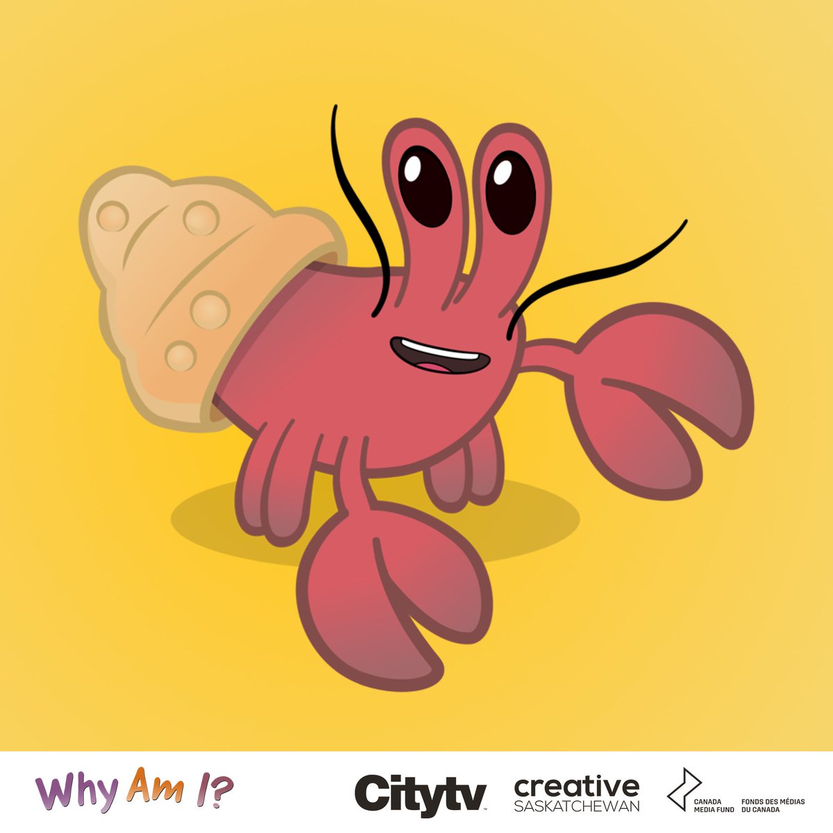 WhyAmIKids (@whyamitvshow) on Twitter photo A mini-marathon is running right now on Citytv Saskatchewan!
#WhyAmIKids
<a href="/creativesask/">Creative Saskatchewan</a> <a href="/CMF_FMC/">Canada Media Fund</a> A mini-marathon is running right now on Citytv Saskatchewan!
#WhyAmIKids
<a href="/creativesask/">Creative Saskatchewan</a> <a href="/CMF_FMC/">Canada Media Fund</a>