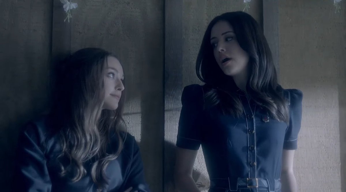 when are they coming back...